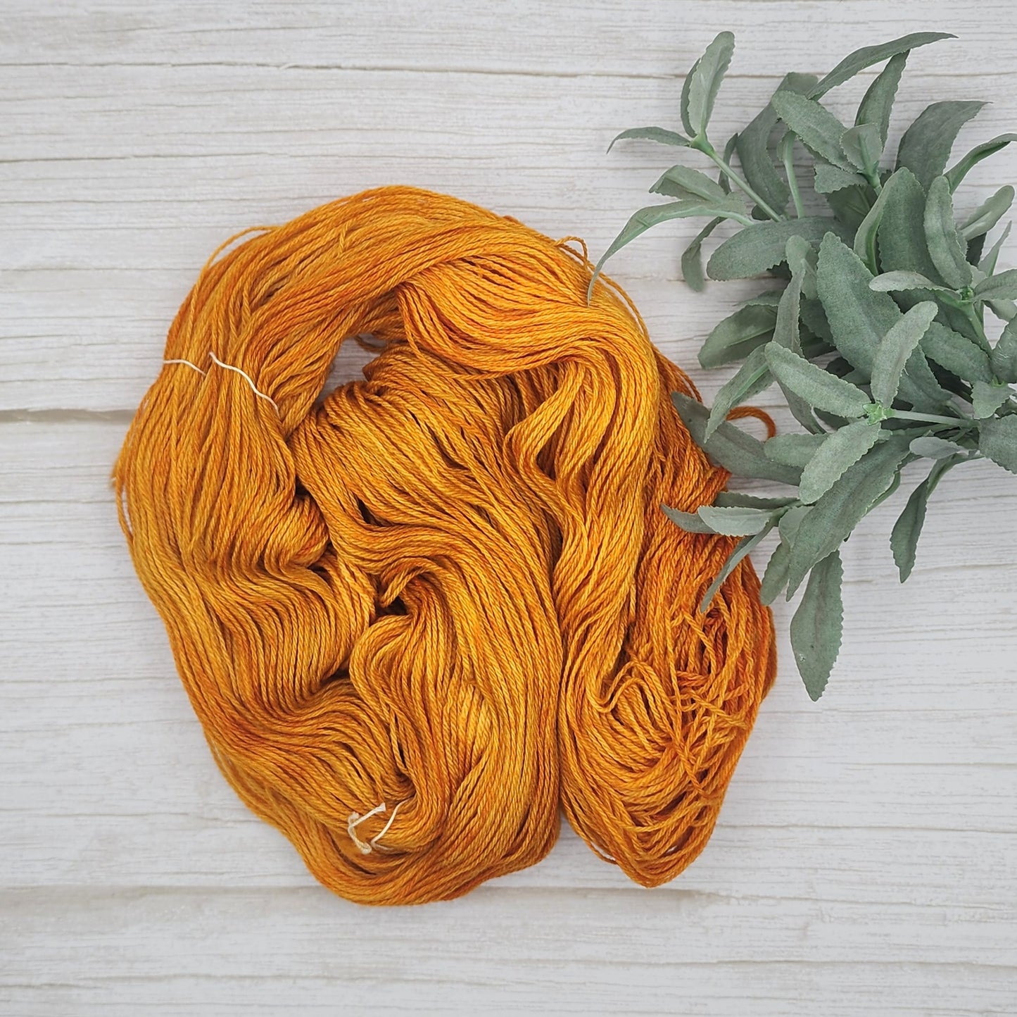 Marigold Delights